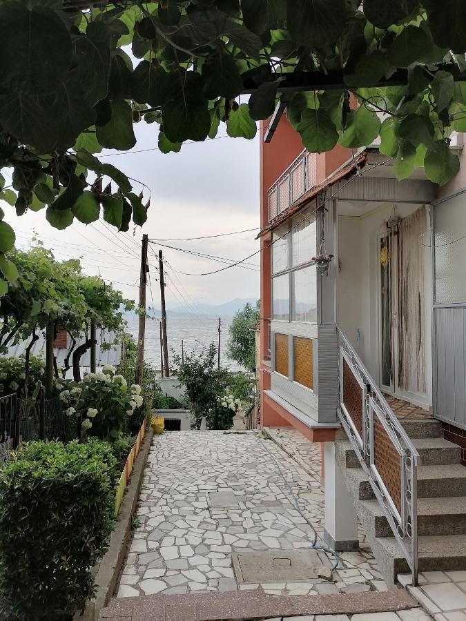 Villa Shine Apartment 1 斯特鲁加 外观 照片